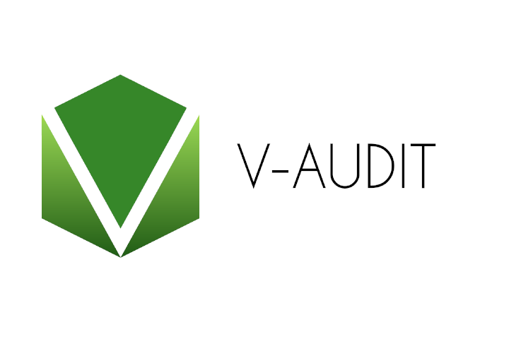 V-Audit Orange
