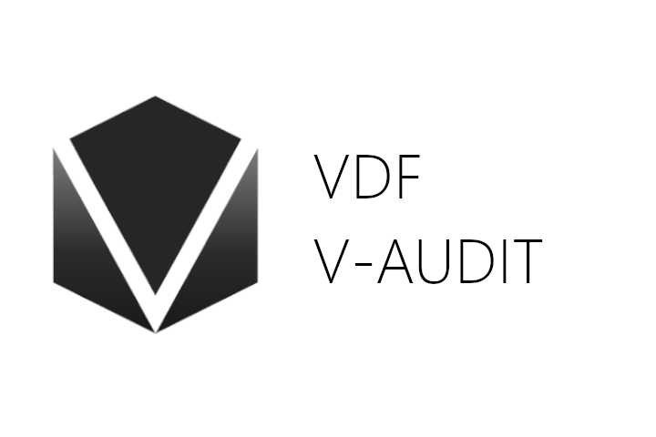 V-Audit Vodafone
